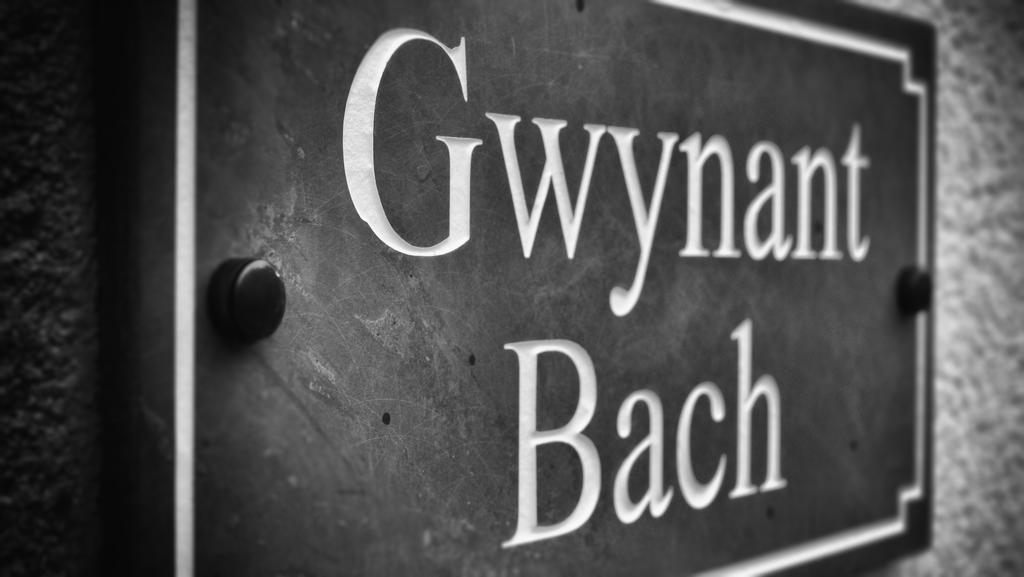 Gwynant Bach Villa Rowen Exterior photo